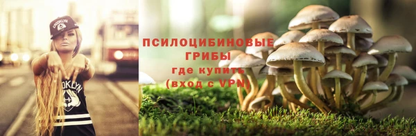 метадон Алзамай