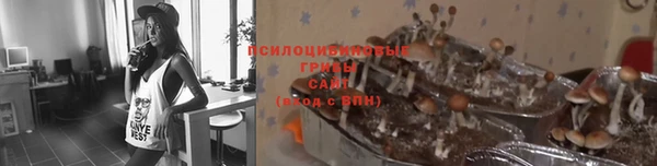 ГАЛЛЮЦИНОГЕННЫЕ ГРИБЫ Алексеевка