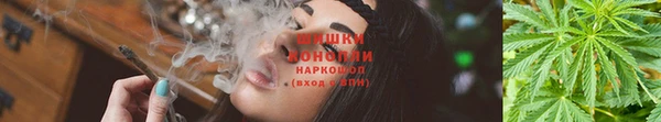 ГАЛЛЮЦИНОГЕННЫЕ ГРИБЫ Алексеевка
