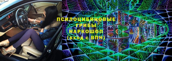 ГАЛЛЮЦИНОГЕННЫЕ ГРИБЫ Алексеевка