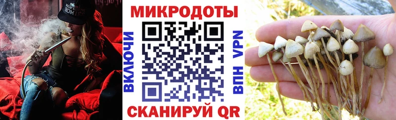 Галлюциногенные грибы MAGIC MUSHROOMS  Королёв 