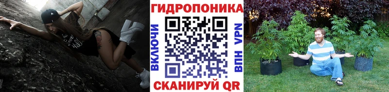 где найти наркотики Королёв это телеграм Каннабис ГИДРОПОН